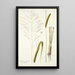 Panicum maximum - Nikolaus Joseph Freiherr von Jacquin — quadro incorniciato alla parete