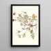 Pelargonium coriandrifolium - Nikolaus Joseph Freiherr von Jacquin — quadro incorniciato alla parete