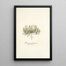 Plantago patagonica - Nikolaus Joseph Freiherr von Jacquin — quadro incorniciato alla parete