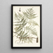Pteris caudata - Nikolaus Joseph Freiherr von Jacquin — quadro incorniciato alla parete