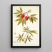 Sambucus racemosa - Nikolaus Joseph Freiherr von Jacquin — quadro incorniciato alla parete