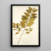 Sida carpinifolia - Nikolaus Joseph Freiherr von Jacquin — quadro incorniciato alla parete