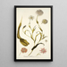 Tragopogon mutabilis - Nikolaus Joseph Freiherr von Jacquin — quadro incorniciato alla parete