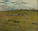 Moutons paissant - Nils Kreuger — vista dell’opera