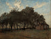 Le Bosquet - Nils Kreuger — vista dell’opera