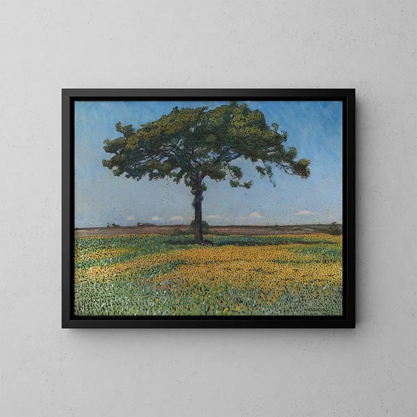 Giovane quercia - Nils Kreuger — quadro incorniciato alla parete