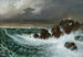 Gabbiani nella tempesta - Octave Penguilly L'Haridon — vista dell’opera