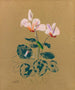 Cyclamen - Odilon Redon — vista dell’opera