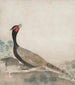 Fagiano - Ogata Kōrin — vista dell’opera