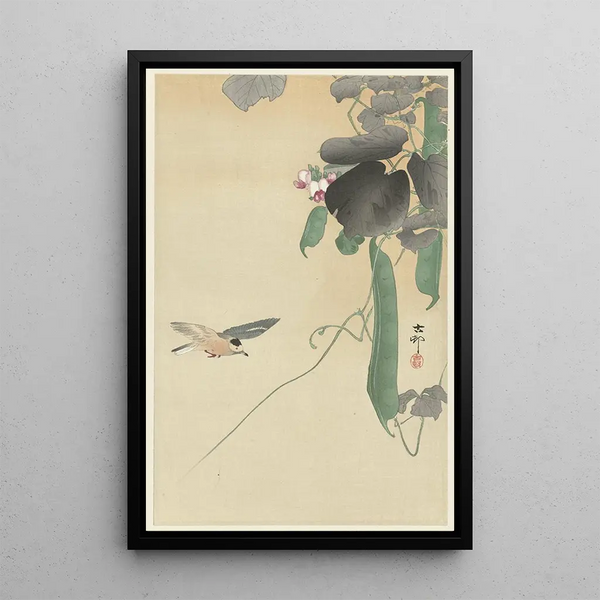 Oiseau sur plante de haricot en fleurs - Ohara Koson — quadro incorniciato alla parete