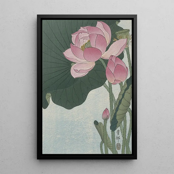 Fleurs de lotus en fleurs - Ohara Koson — quadro incorniciato alla parete