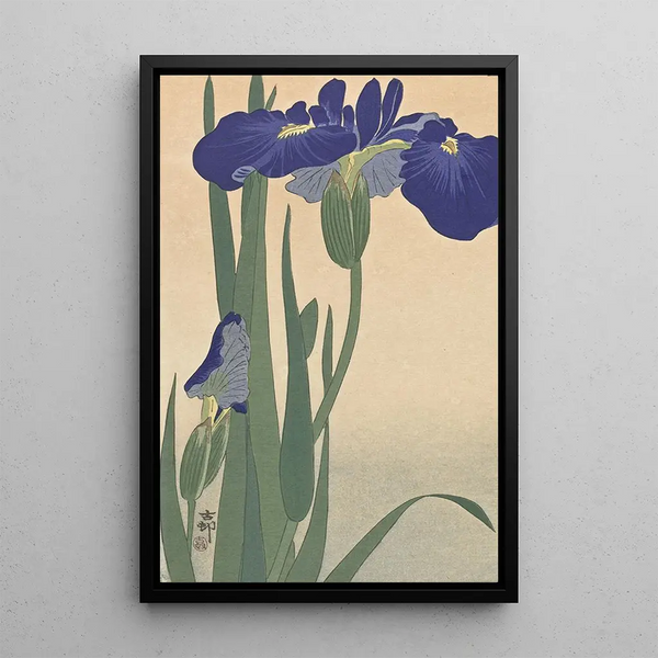 Iris bleus - Ohara Koson — quadro incorniciato alla parete