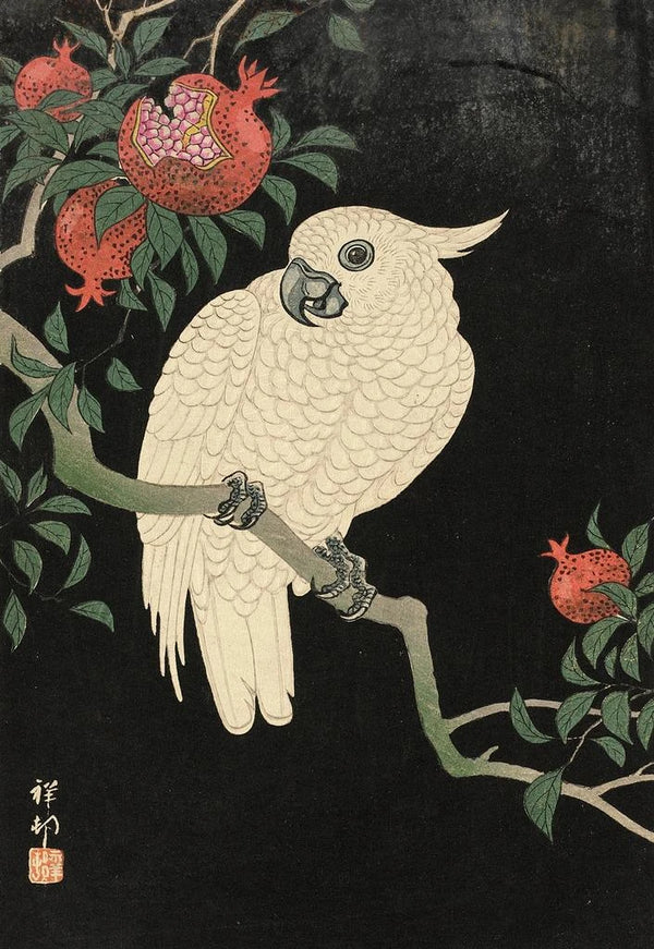 Cacatoès e melograno - Ohara Koson — quadro incorniciato alla parete