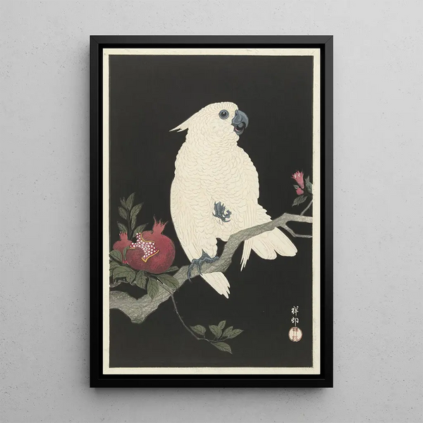 Cacatoès et grenade - Ohara Koson — quadro incorniciato alla parete