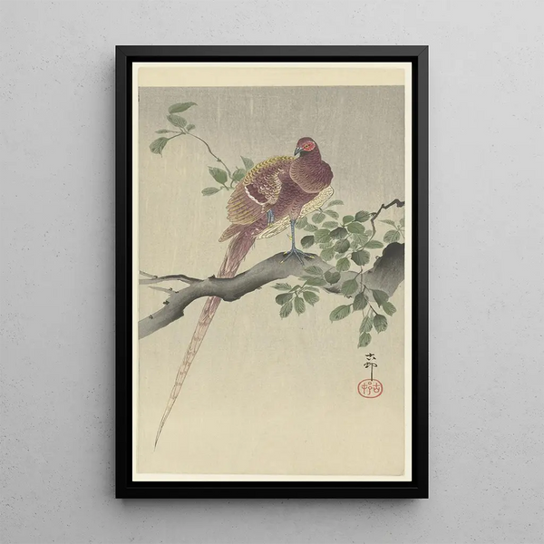 Faisan cuivré - Ohara Koson — quadro incorniciato alla parete