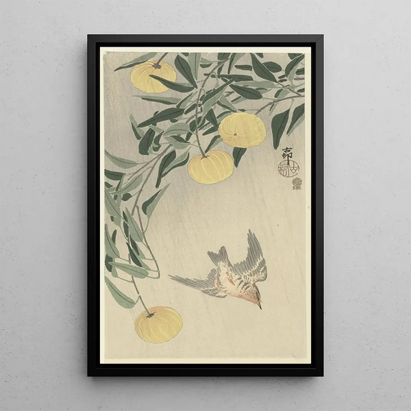Coucou sous la pluie - Ohara Koson — quadro incorniciato alla parete