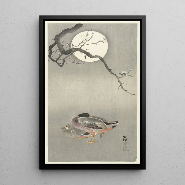 Canards à la pleine lune - Ohara Koson — quadro incorniciato alla parete
