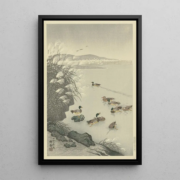 Canards dans l'eau - Ohara Koson — quadro incorniciato alla parete