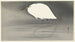 Aigrette - Ohara Koson — vista dell’opera
