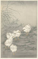 Cinq poussins - Ohara Koson — vista dell’opera