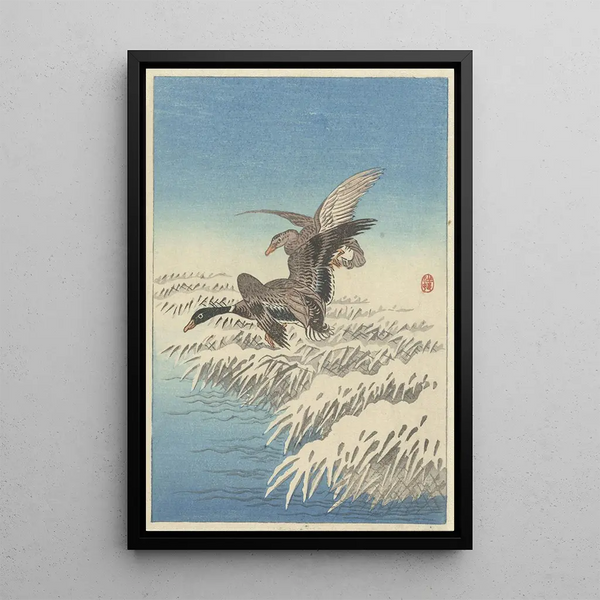 Vol de canards au-dessus des roseaux enneigés - Ohara Koson — quadro incorniciato alla parete