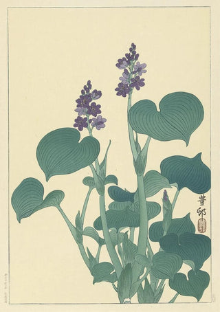 Ohara Koson - Flowering hosta.webp