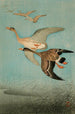 Oies en vol - Ohara Koson — vista dell’opera