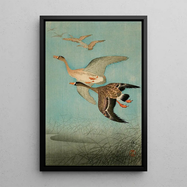 Oies en vol - Ohara Koson — quadro incorniciato alla parete