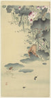 Grenouille et têtards - Ohara Koson — vista dell’opera