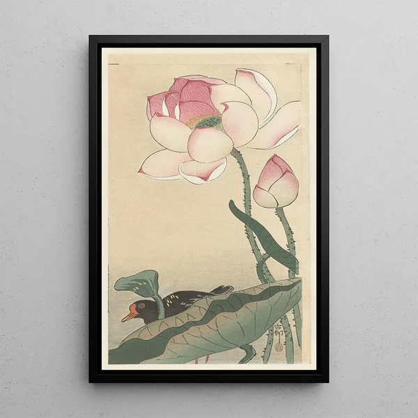 Gallinule avec fleurs de lotus - Ohara Koson — quadro incorniciato alla parete