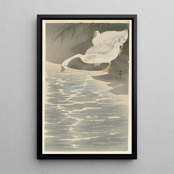 Oies sur la berge - Ohara Koson — quadro incorniciato alla parete