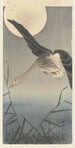 Oie - Ohara Koson — vista dell’opera
