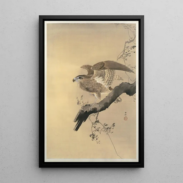 Faucon - Ohara Koson — quadro incorniciato alla parete