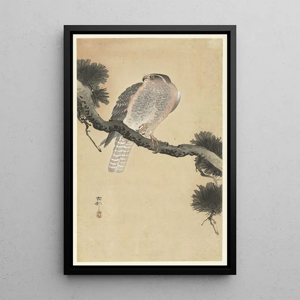 Faucon sur branche de pin - Ohara Koson — quadro incorniciato alla parete