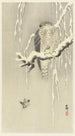 Faucon avec moineau captif - Ohara Koson — vista dell’opera