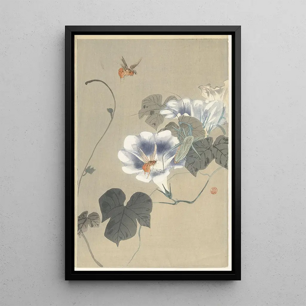 Insetti sur liseron - Ohara Koson — quadro incorniciato alla parete