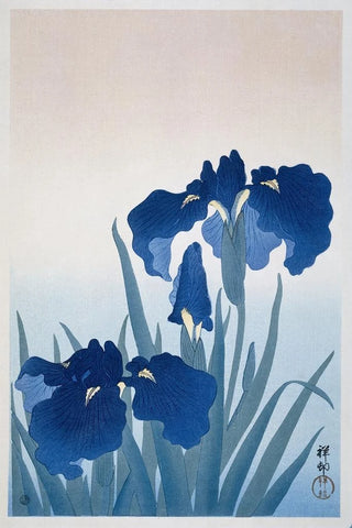 Ohara Koson - Irises.webp