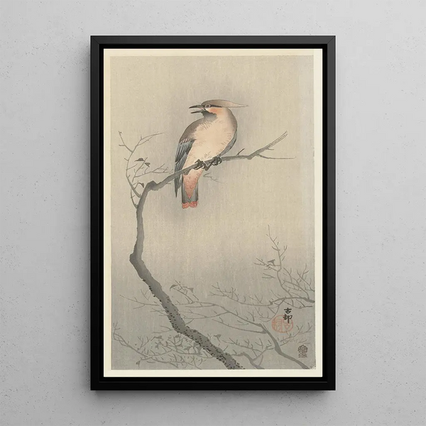 Jaseur du Japon sur branche - Ohara Koson — quadro incorniciato alla parete