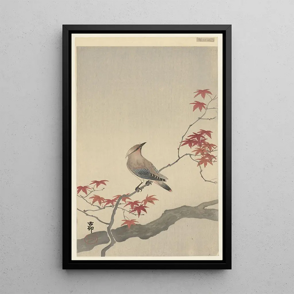 Jaseur du Japon sur érable - Ohara Koson — quadro incorniciato alla parete