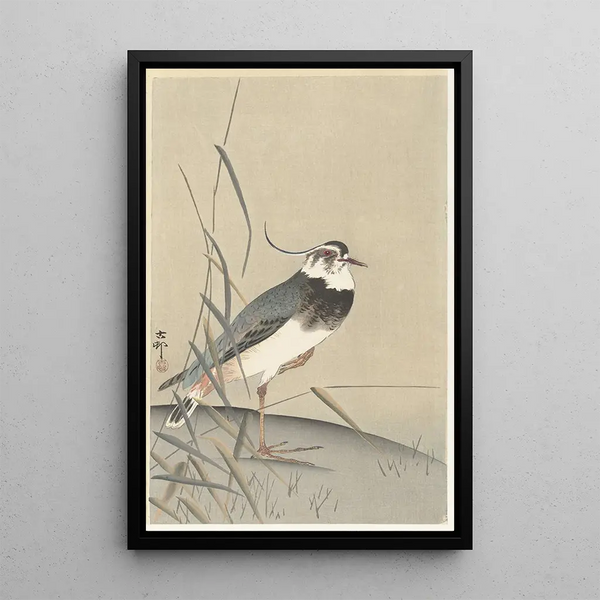Vanneau et roseau - Ohara Koson — quadro incorniciato alla parete
