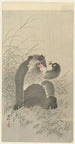 Singe con insetto - Ohara Koson — vista dell’opera