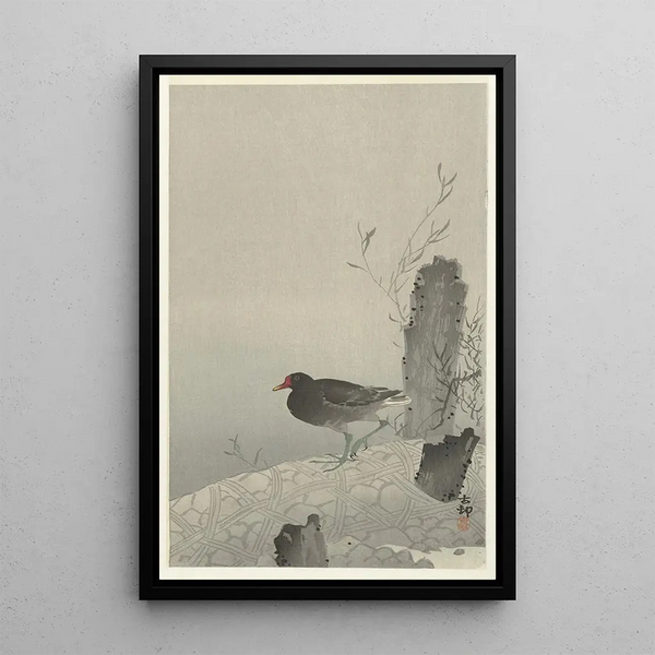 Poule d'eau - Ohara Koson — quadro incorniciato alla parete