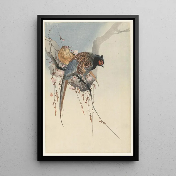 Couple de faisans et fleur de prunier - Ohara Koson — quadro incorniciato alla parete