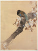 Fagiano su un ramo di ciliegio in fiore - Ohara Koson — vista dell’opera