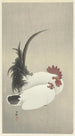 Coq e gallina - Ohara Koson — vista dell’opera