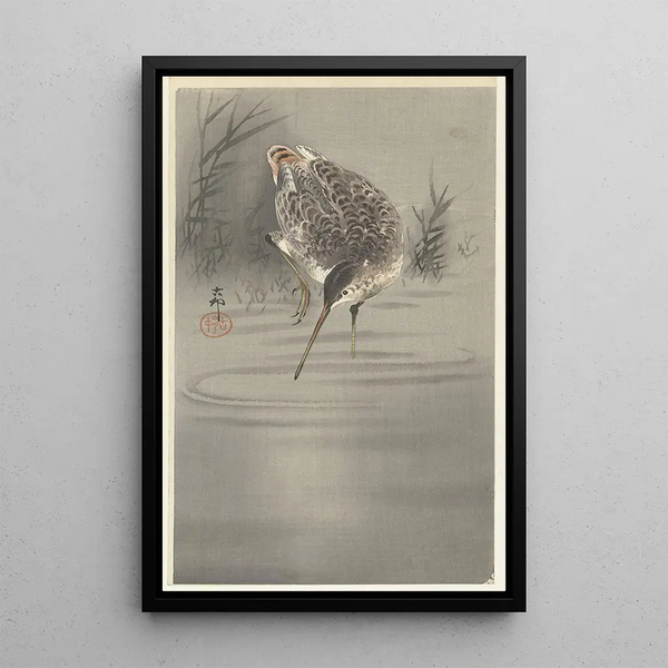 Bécassine dans l'acqua - Ohara Koson — quadro incorniciato alla parete
