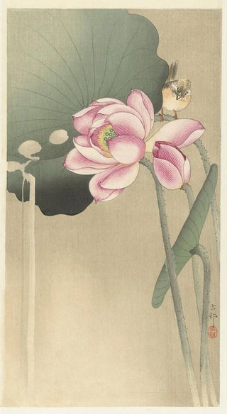Ohara Koson - Songbird and Lotus.webp