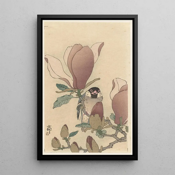 Moineau sur une branche de magnolia en fleur - Ohara Koson — quadro incorniciato alla parete