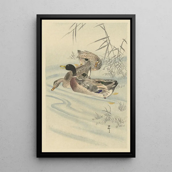 Tre anatre in acque poco profonde con canneto - Ohara Koson — quadro incorniciato alla parete