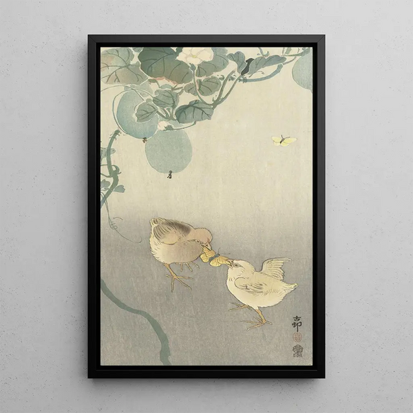Due pulcini che si combattono per una farfalla - Ohara Koson — quadro incorniciato alla parete